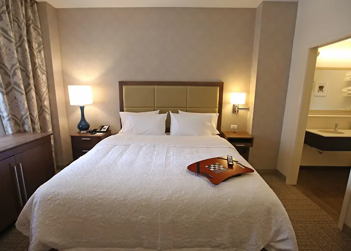 Hotel Hampton Downtown/n Loop/michigan Ave 3*