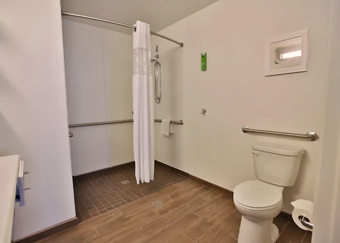 Hampton Downtown/n Loop/michigan Ave 3* Chicago