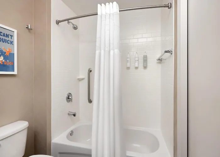 Hotel Hampton Downtown/n Loop/michigan Ave