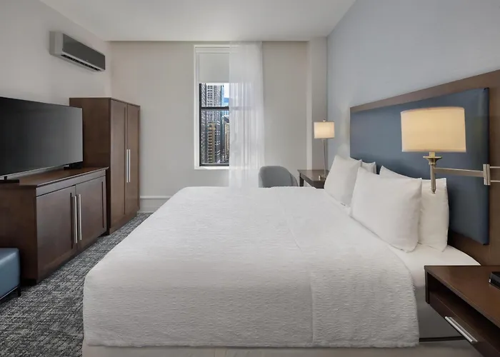 Hampton Downtown/n Loop/michigan Ave 3* Chicago