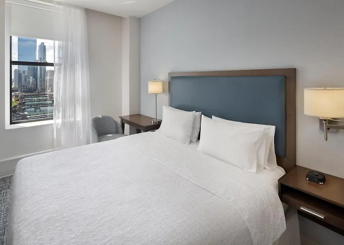 Hampton Downtown/n Loop/michigan Ave 3* Chicago