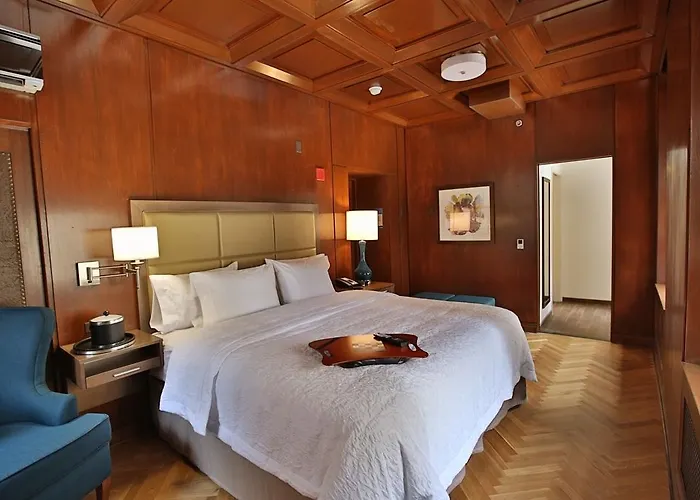 Hampton Downtown/n Loop/michigan Ave 3* Chicago
