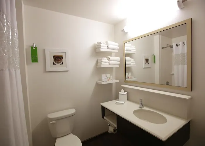 Hampton Downtown/n Loop/michigan Ave 3* Chicago